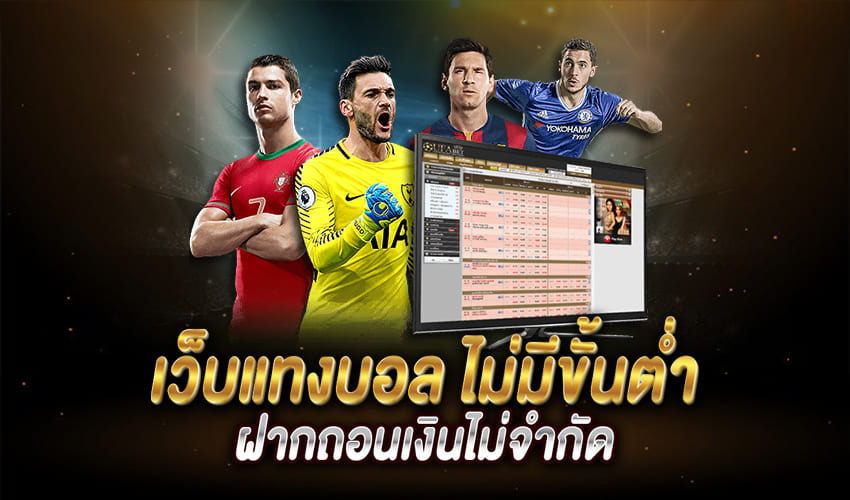 เว็บแทงบอล 007